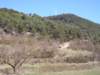 p1010035_small.jpg