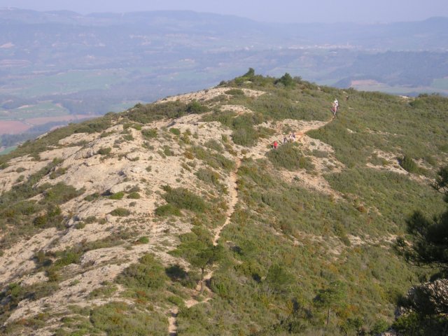 p1010027.jpg