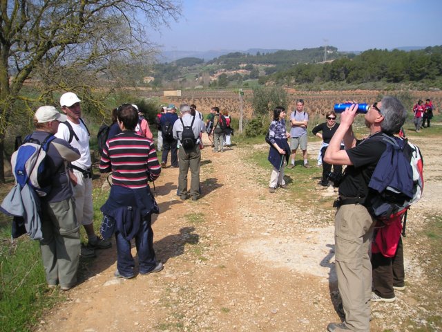 p1010047.jpg