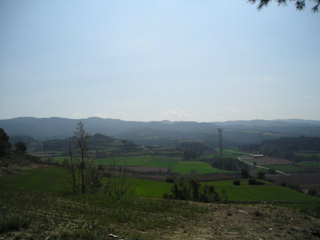 p1010049.jpg