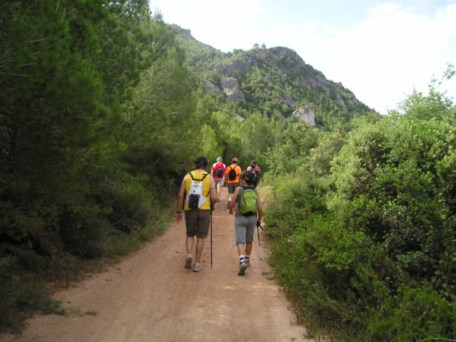 p1010009.jpg