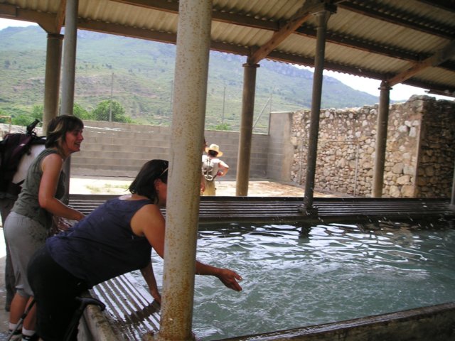 p1010017.jpg