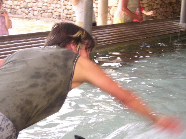 p1010021.jpg