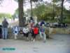imgp0652_small.jpg