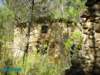 imgp0678_small.jpg