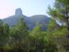 imgp0683_small.jpg