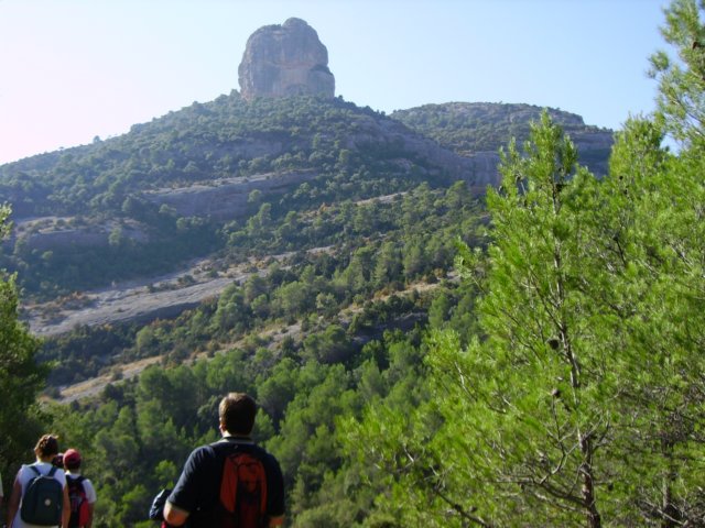 imgp0688.jpg