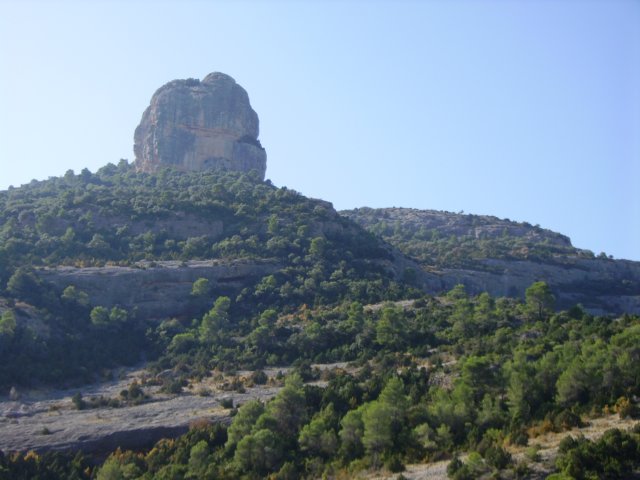 imgp0690.jpg