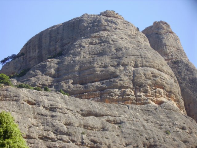 imgp0694.jpg