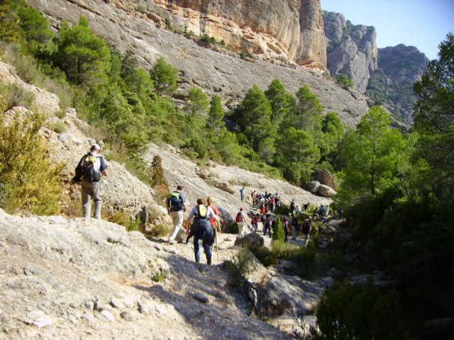 imgp0695.jpg