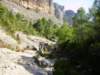 imgp0697_small.jpg