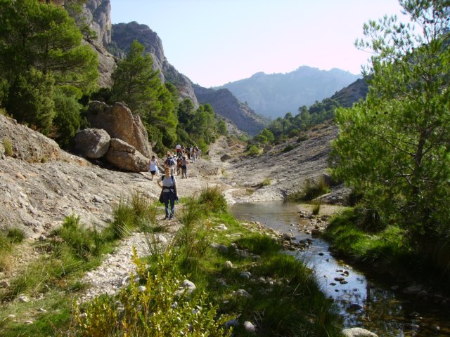 imgp0704.jpg