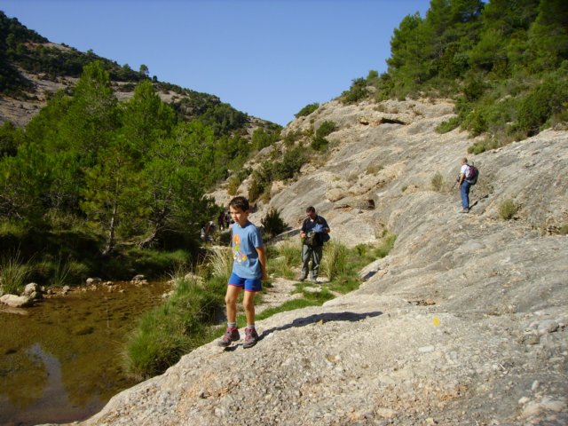 imgp0707.jpg