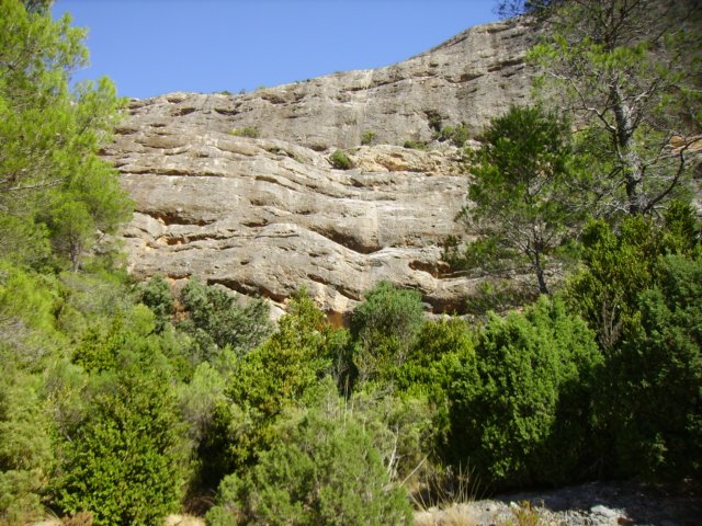 imgp0709.jpg