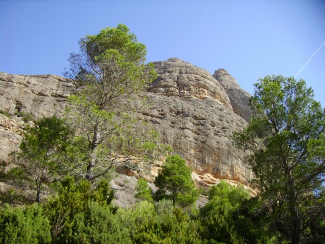 imgp0710.jpg
