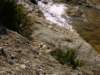 imgp0711_small.jpg