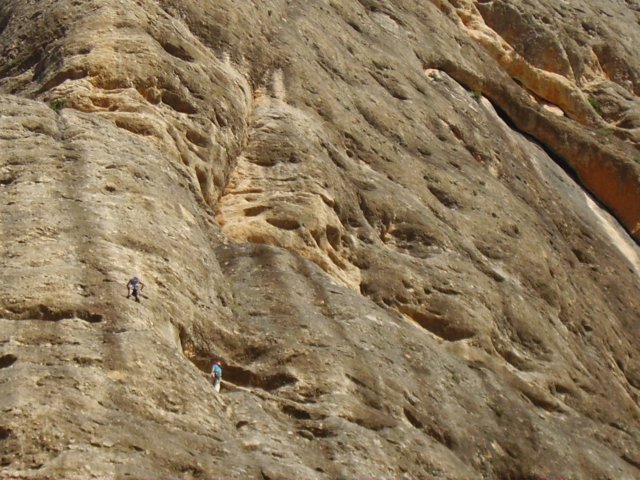 imgp0715.jpg