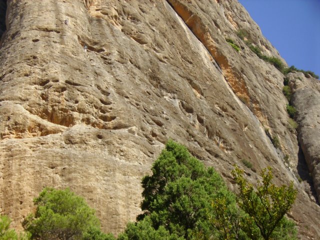imgp0716.jpg