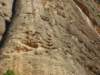 imgp0717_small.jpg
