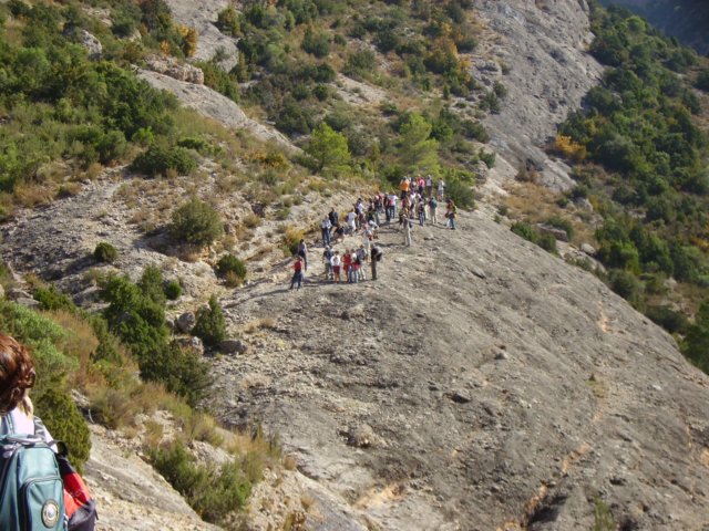 imgp0721.jpg
