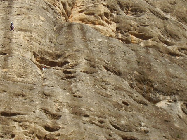 imgp0723.jpg
