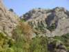 imgp0724_small.jpg