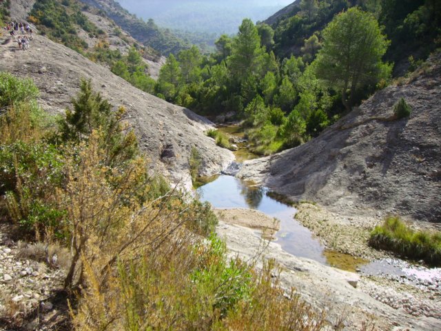 imgp0726.jpg