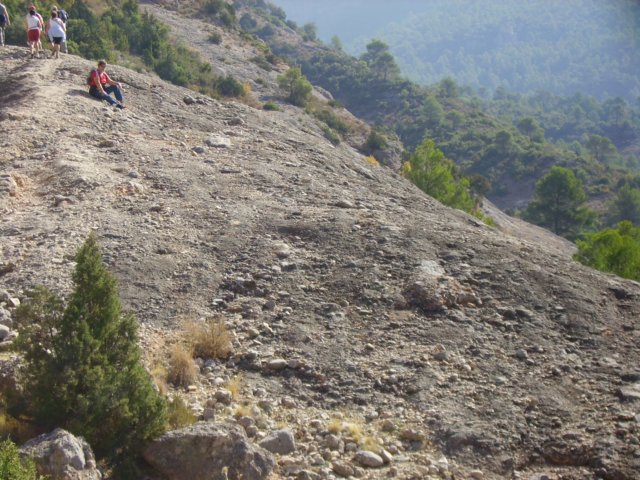 imgp0728.jpg