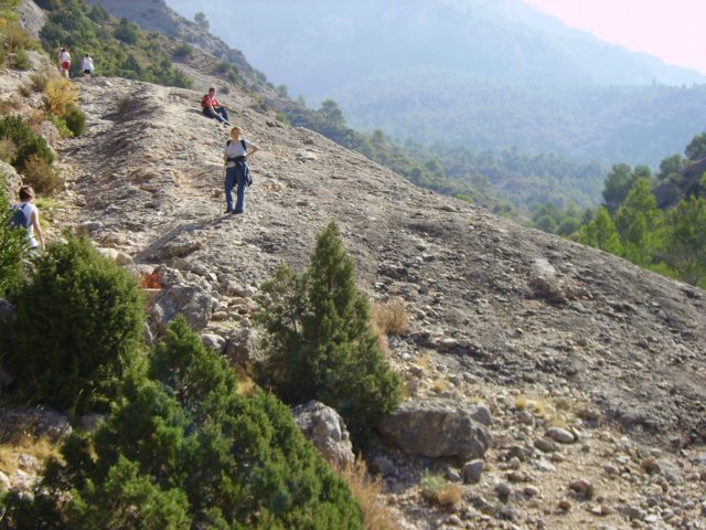 imgp0729.jpg