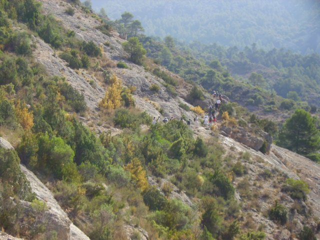 imgp0732.jpg