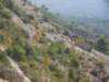 imgp0732_small.jpg