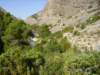 imgp0736_small.jpg