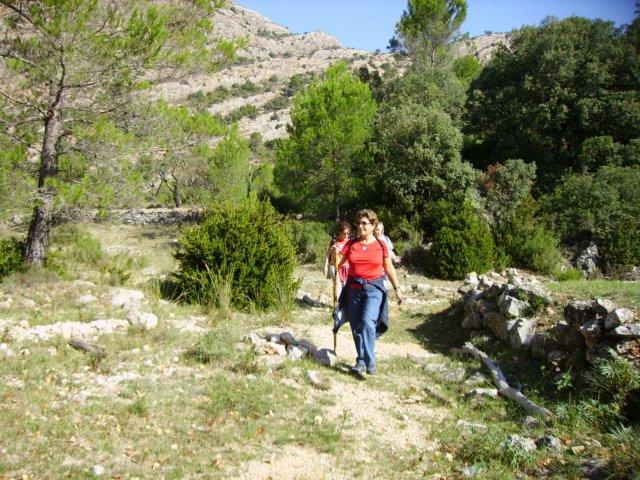 imgp0738.jpg