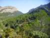 imgp0740_small.jpg
