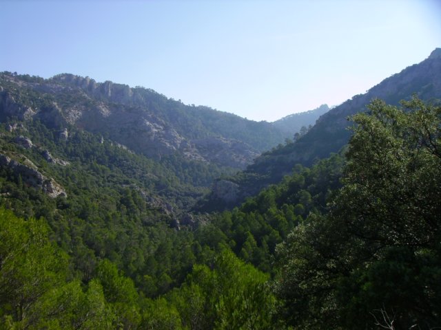 imgp0741.jpg