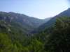 imgp0741_small.jpg