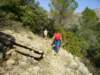 imgp0742_small.jpg