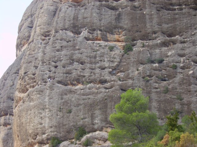imgp0762.jpg