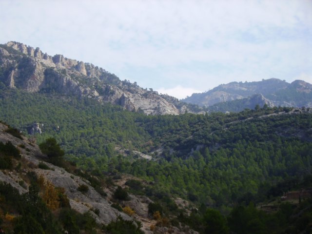 imgp0763.jpg