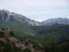 imgp0763_small.jpg
