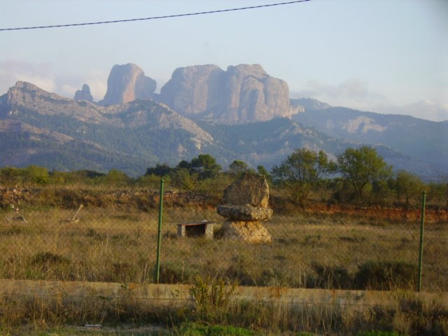 imgp0821.jpg