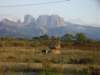 imgp0821_small.jpg