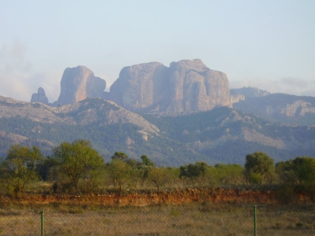 imgp0825.jpg