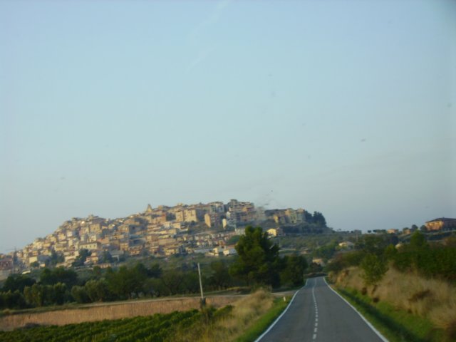 imgp0827.jpg