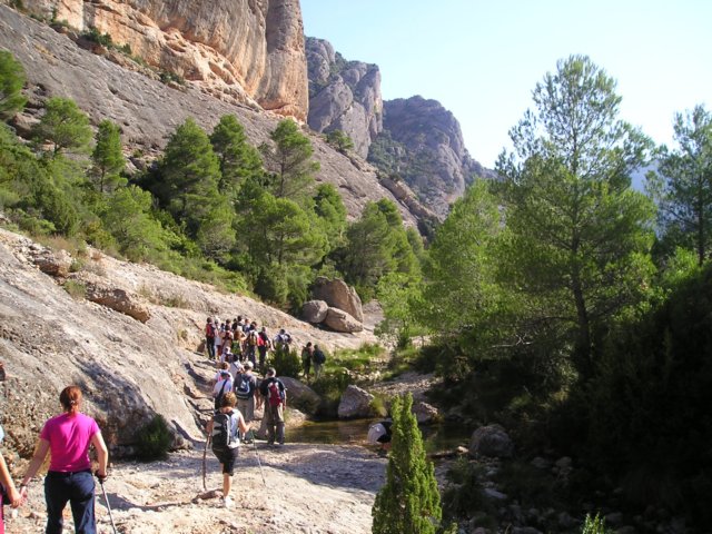 p1010004.jpg