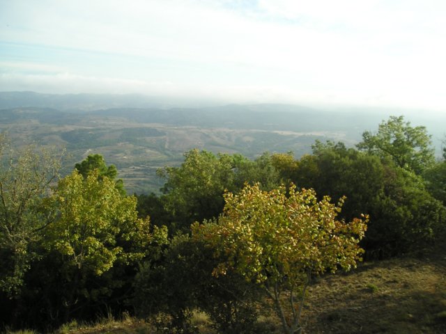 p1010003.jpg