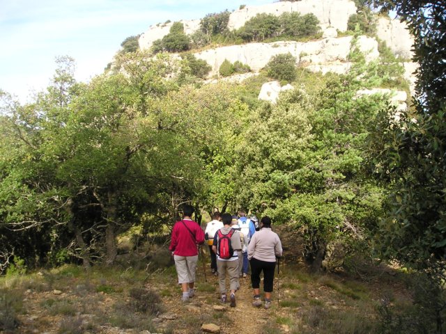 p1010016.jpg