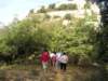 p1010016_small.jpg