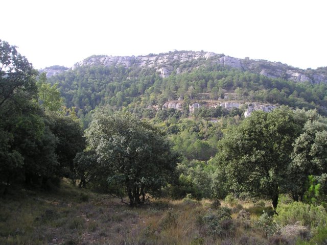 p1010017.jpg