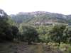 p1010017_small.jpg